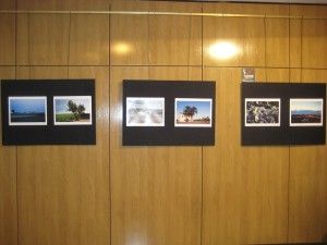 IMG_5449