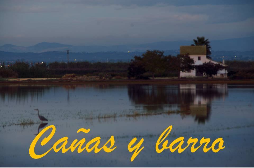 CAÑAS 01
